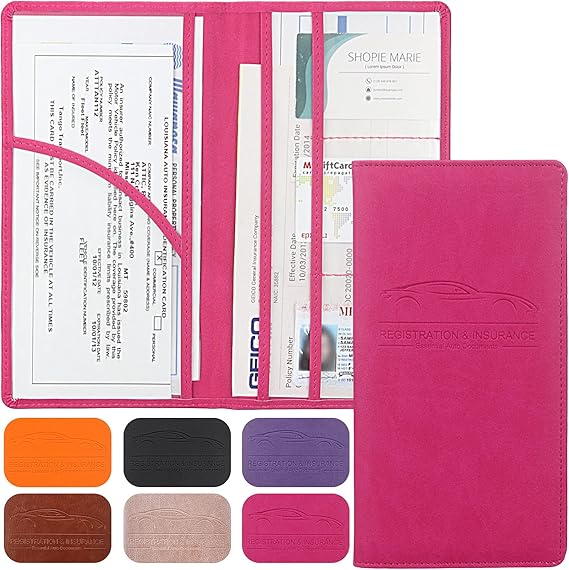 Street Flex Auto: DocVault Car Organizer