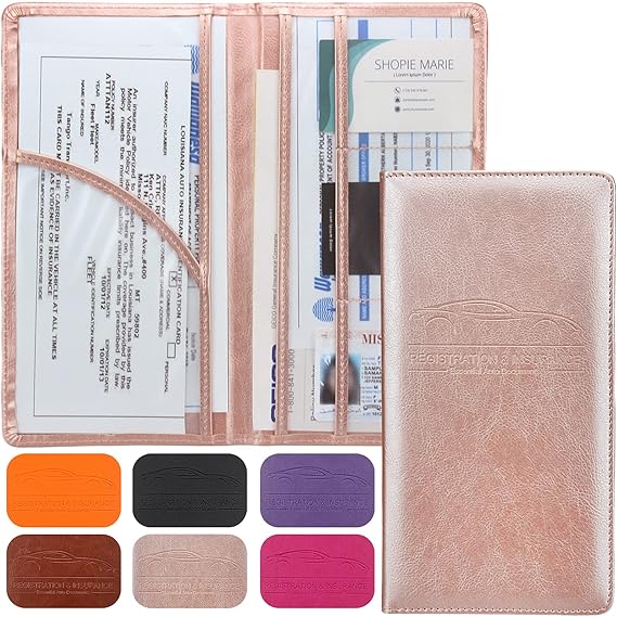 Street Flex Auto: DocVault Car Organizer